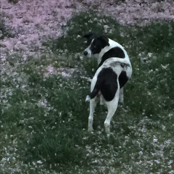 Meet your Posher, Ryleena - Picture 8 of 13